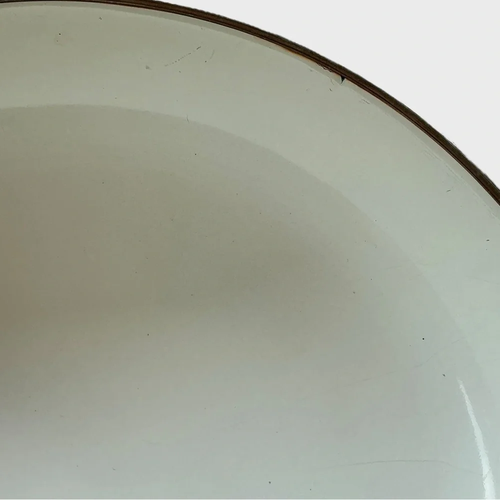 Tabletops Unlimited Essence Enamelware Lid 10” Replacement Pot Lid Vintage Fruit